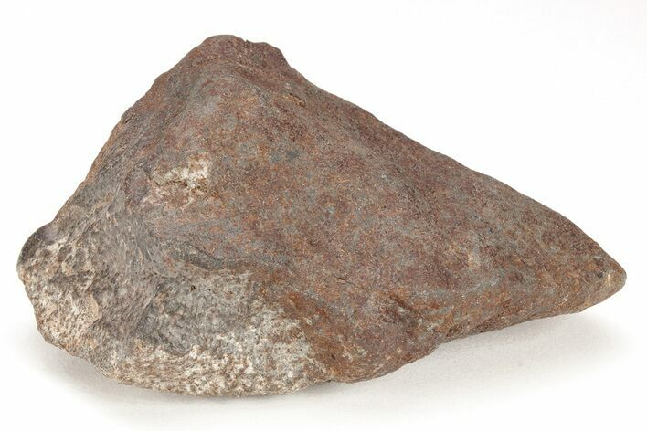 Chondrite Meteorite ( g) - Western Sahara Desert #208162
